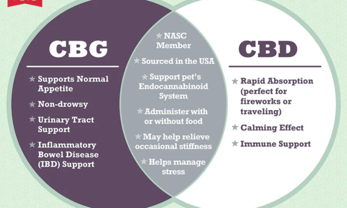 cbg vs cbd