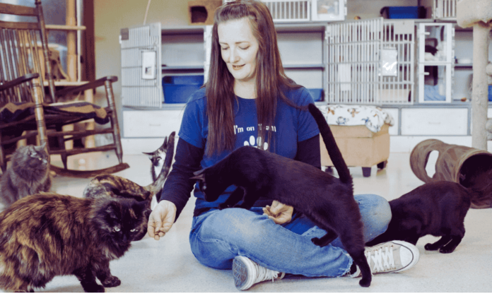 jackson county animal shelter
