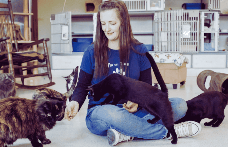 jackson county animal shelter